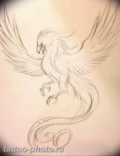 Феникс рисунок карандашом