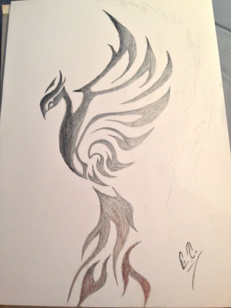Нарисовать Феникса карандашом