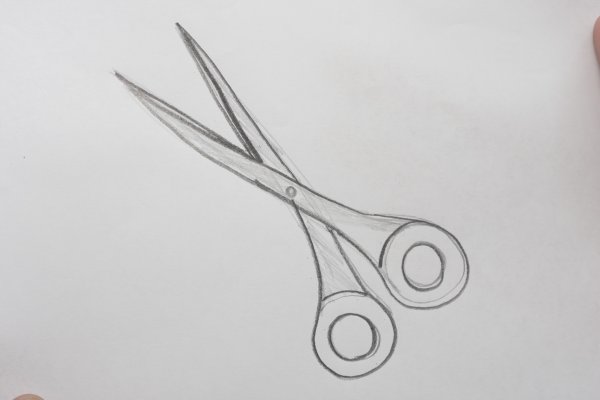 Анатомия ножниц для рисования