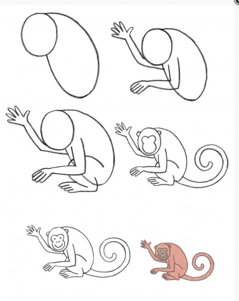 Как нарисовать обезьяну легко