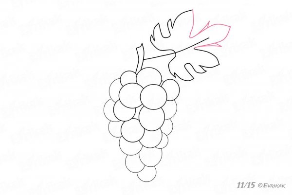 Нарисовать виноград карандашом