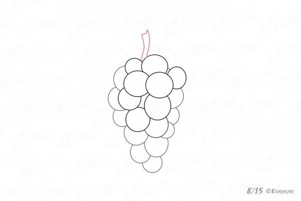 Поэтапное рисование винограда