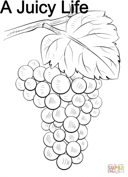 Рисование гроздь винограда