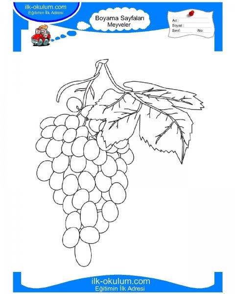 Виноград раскраска