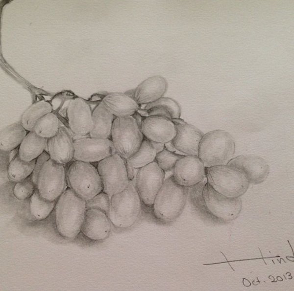 Натюрморт карандашом вино