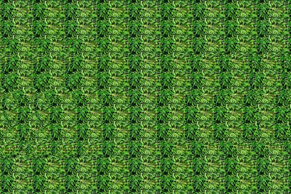 3d стереограммы Меандра