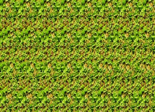 Стереограммы Хидден 3д