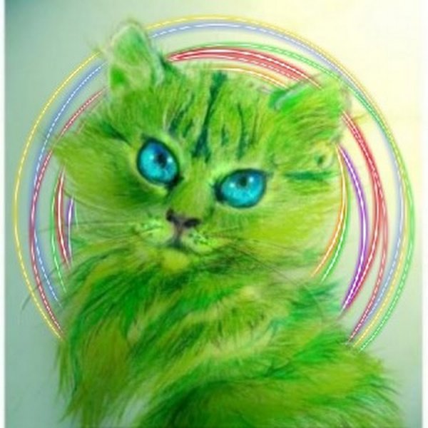 Зеленая кошка