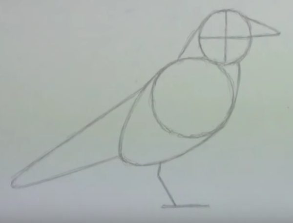 Поэтапный рисунок вороны