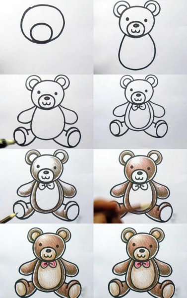Поэтапное рисование медведя