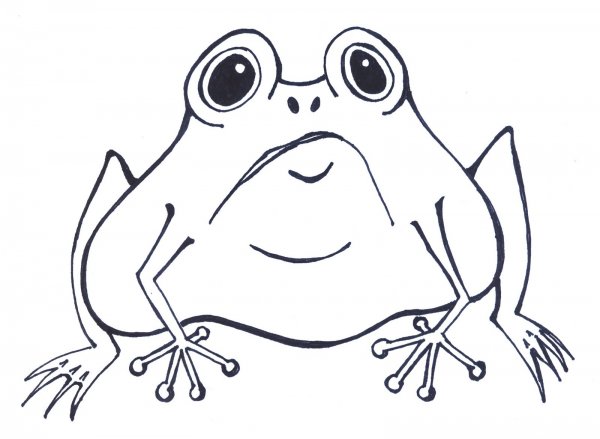 Рисунок лягушки очень легкий