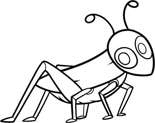 Кузнечик раскраска