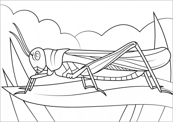 Саранча раскраска для детей