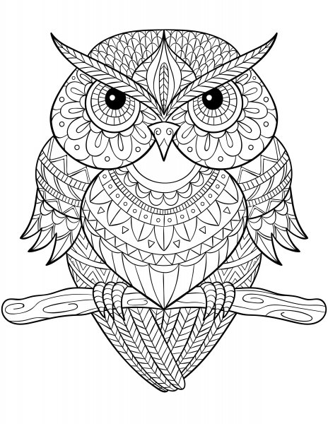 Раскраскиантистрес Совы