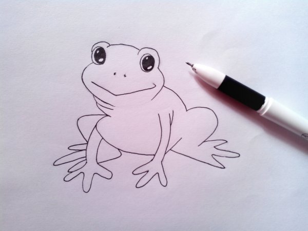 Лягушка карандашом