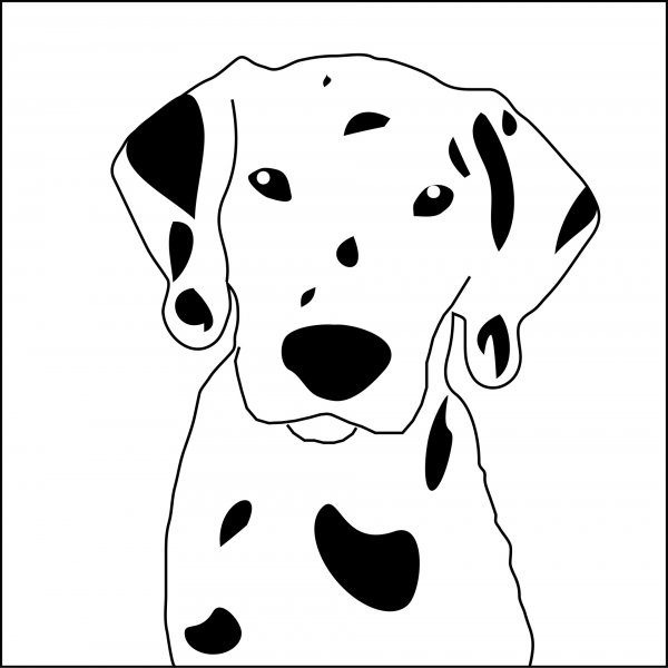Далматинец рисунок