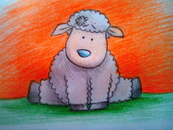 Овечка рисунок карандашом