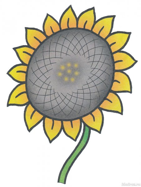 Подсолнух в геральдике