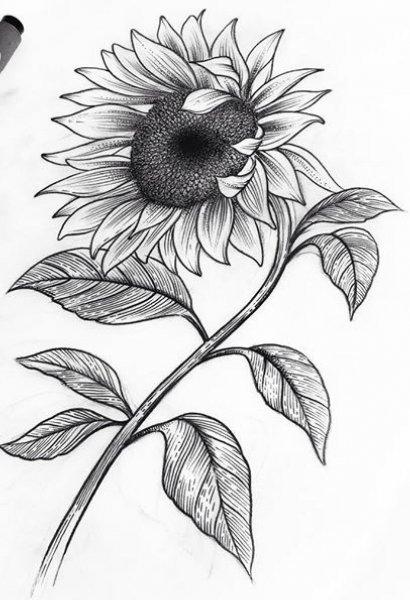 Подсолнух для вырезания