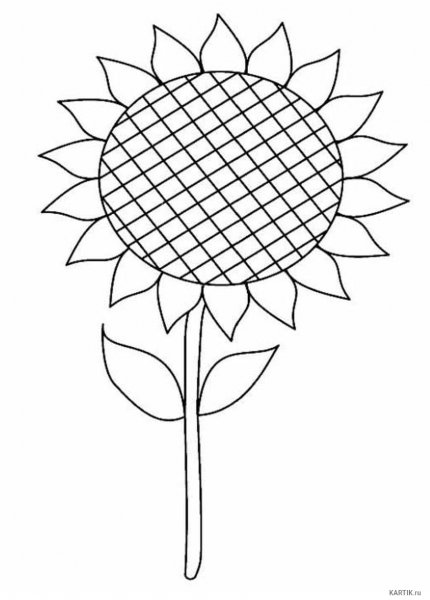 Рисование подсолнечника детские работы