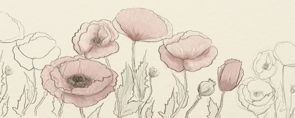 Мак цветок рисунок карандашом