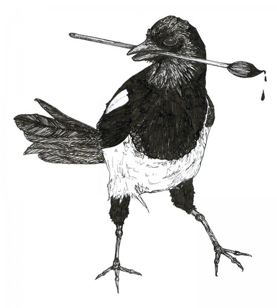 Сорока иллюстрация