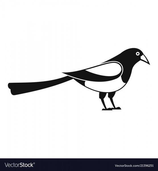 Силуэт сорока для детей