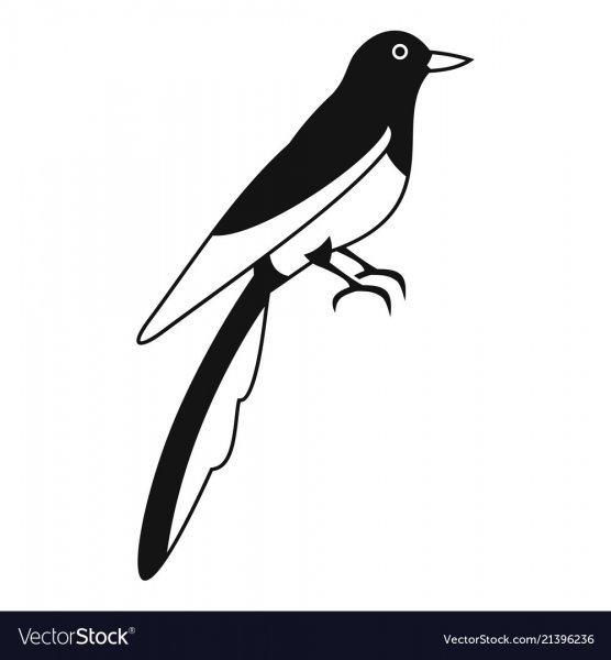 Сорока трафарет