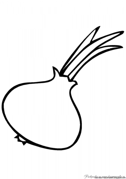 Овощи раскраска для детей