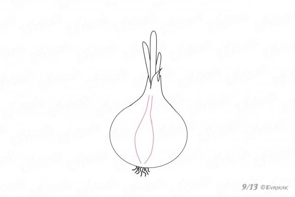 Лук поэтапное рисование