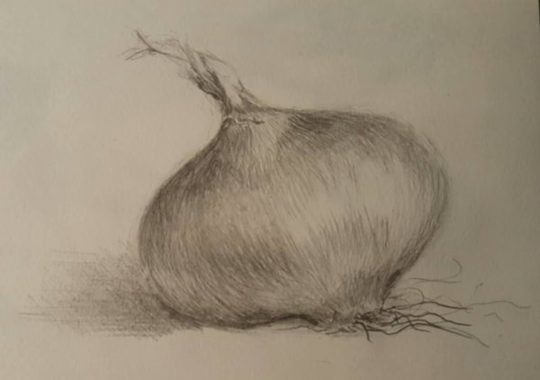 Лук карандашом