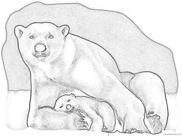 Раскраска Медведица и Медвежонок Умка