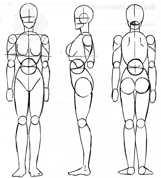 Схема тела человека для рисования