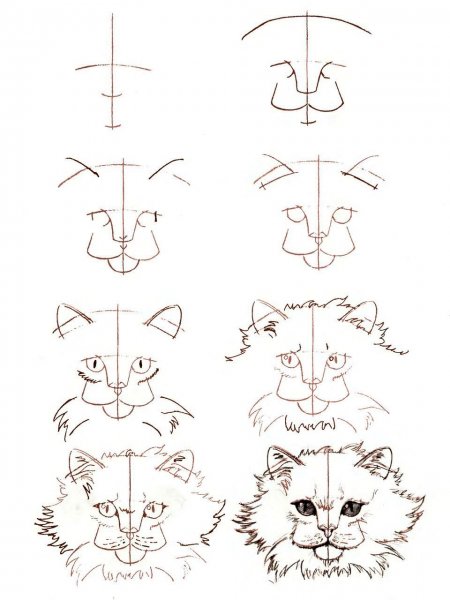 Поэтапное рисование кошки