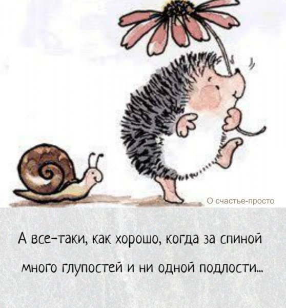 Смешной Ежик рисунок