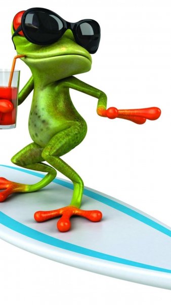 Веселая лягушка