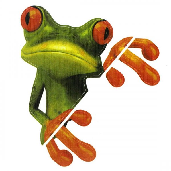 Прикольные лягушки