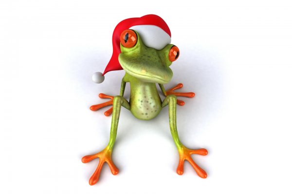 Заставка на рабочий стол лягушка