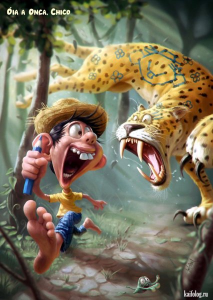 Тиаго Хойсел