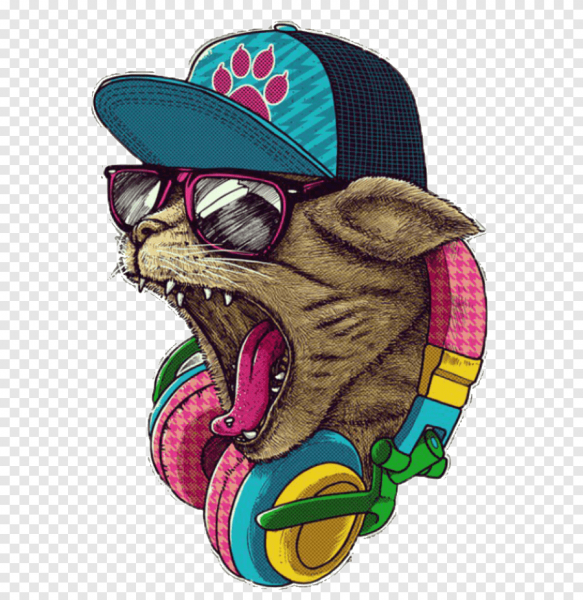 Кот в бейсболке