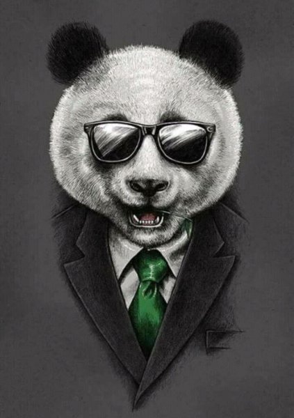 Панда в пиджаке