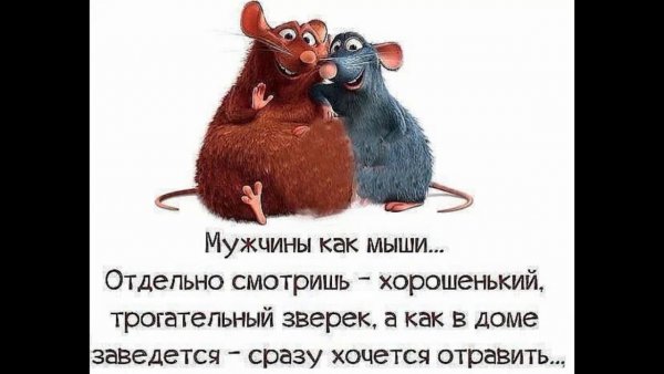 Цитаты со смыслом прикольные