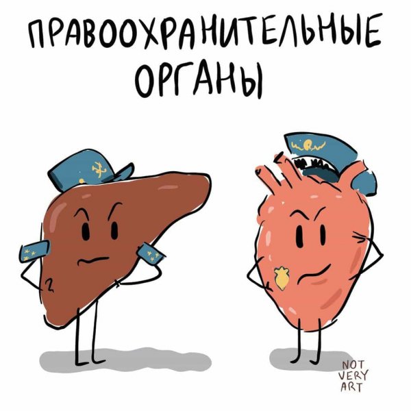 Шуточные фразеологизмы картинки