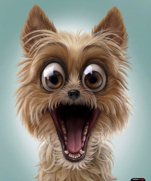 Удивление собаки