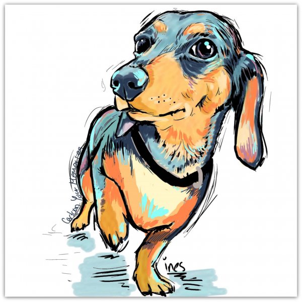 Шарж на таксу