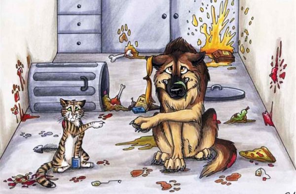 Собака карикатура