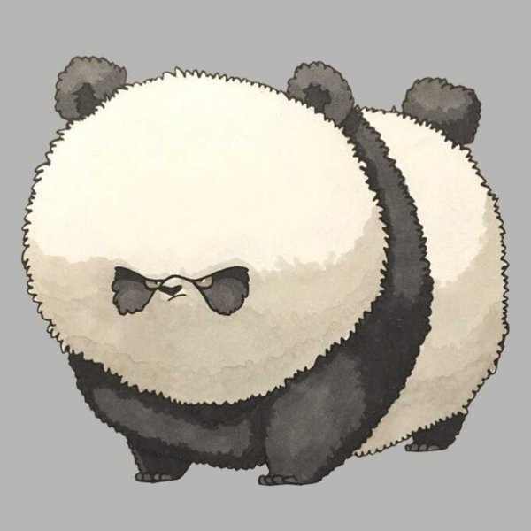 Жирная Панда