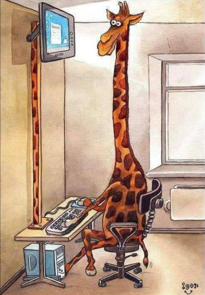 Жираф акварелью