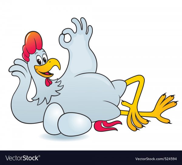 Петух нарисованный смешной