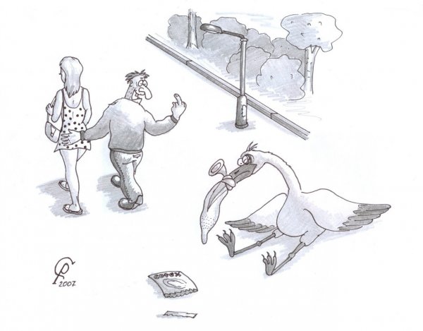 Презерватив карикатура